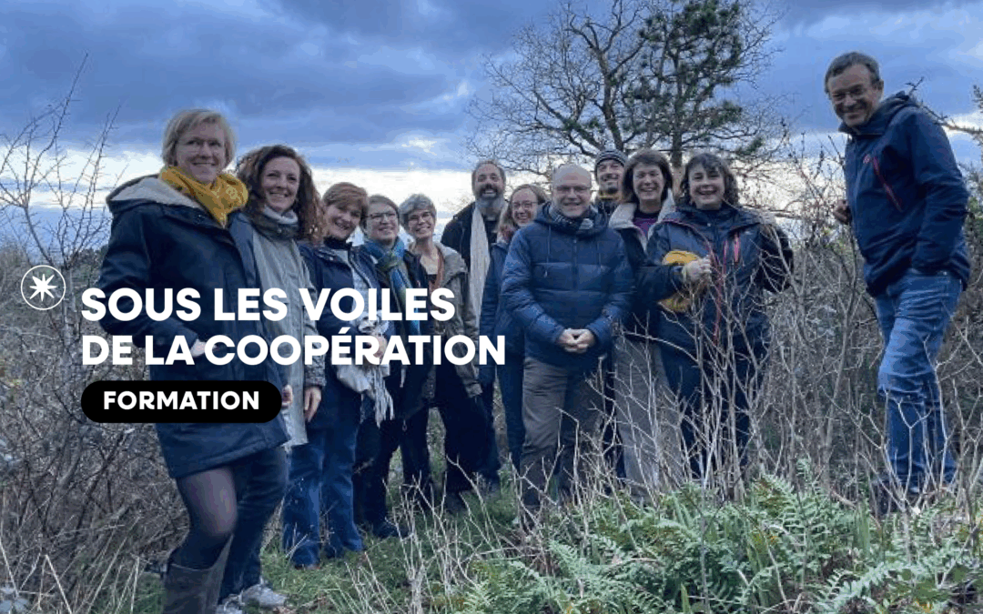 FORMATION « Sous les voiles de la coopération »